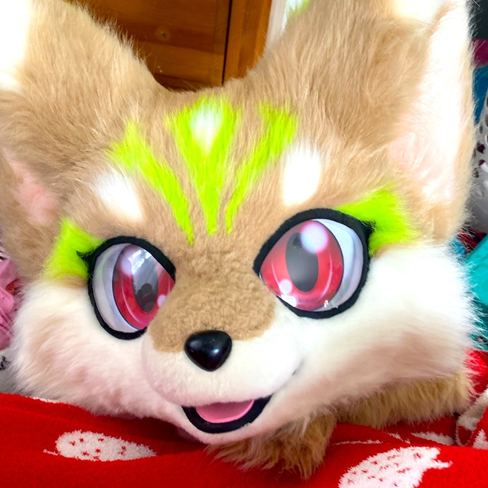 Ktcatvintage husky furry mask